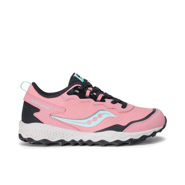 Peregrine Kdz Shield